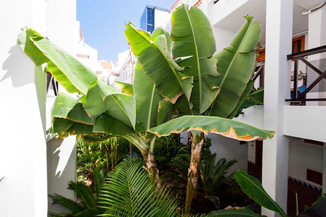Estudio 1 Sara En Playa De Las America - Sara Vacation Costa Adeje  Ngoại thất bức ảnh